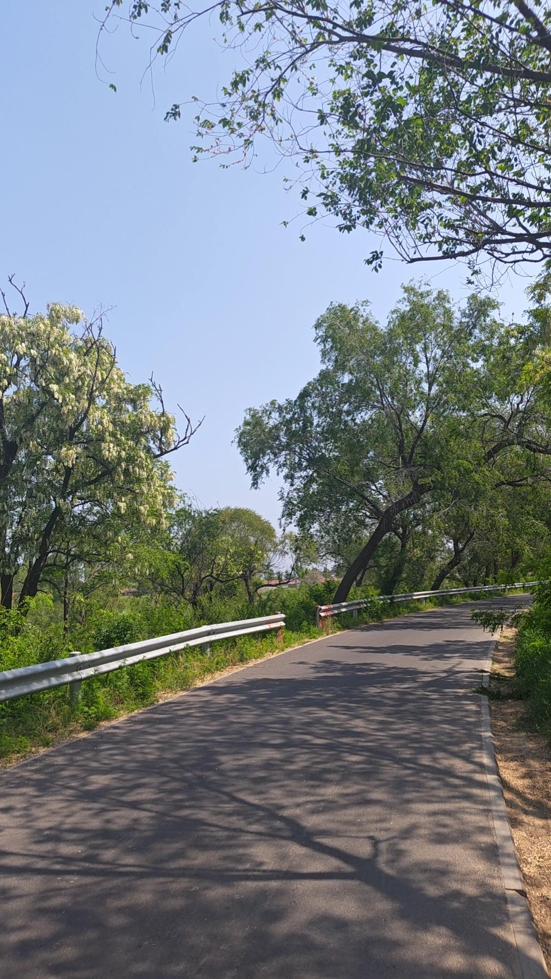 别人说你不懂事，说白了，就是你没有听他的话；别人说你自私，只是他没有占