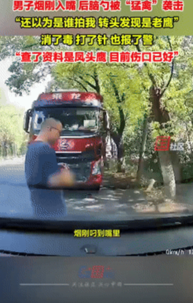 飞来横祸！江苏苏州，男子烟瘾犯了，于是下车到路边抽烟，不料刚点着火，后脑勺就感到