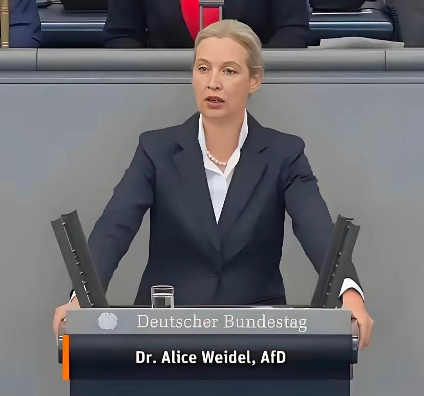 快讯！快讯！快讯！​德国爱丽丝·魏德尔突然宣告了​德国政客爱丽丝·魏德尔（A