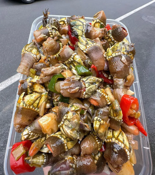 这是什么美食，从哪里下嘴呀？