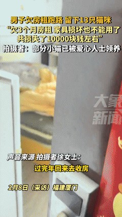 “这个房东你火了！”在福建厦门，一个房客不辞而别，留下13只猫给房东带来了巨大的