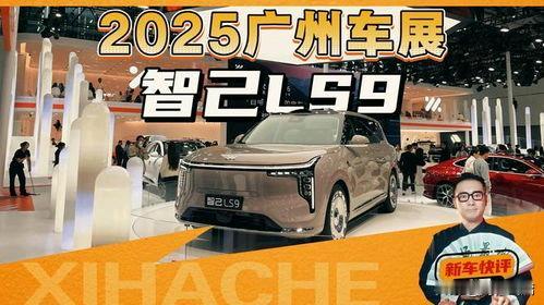 15万零跑C16vs32万智己LS9！6座SUV选谁不踩坑？纠结6座S