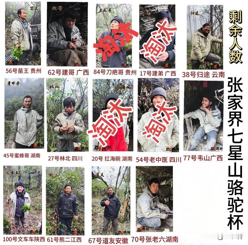 万万没想到，七星杯荒野求生决赛上夺冠热门刀疤哥，竟在第9天黯然退赛！这消息着