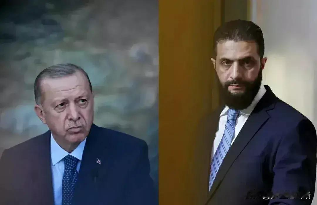 你说得完全对：埃尔多安去年（2025年）抓的反对派，到现在2026年4月，一个都