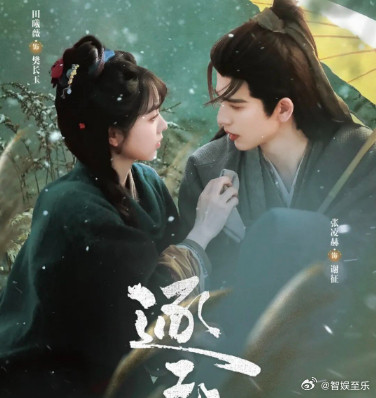 什么时候各大平台都不乏新剧在播，有这么多受众需要消遣，自然这些剧就缺热度，所以张