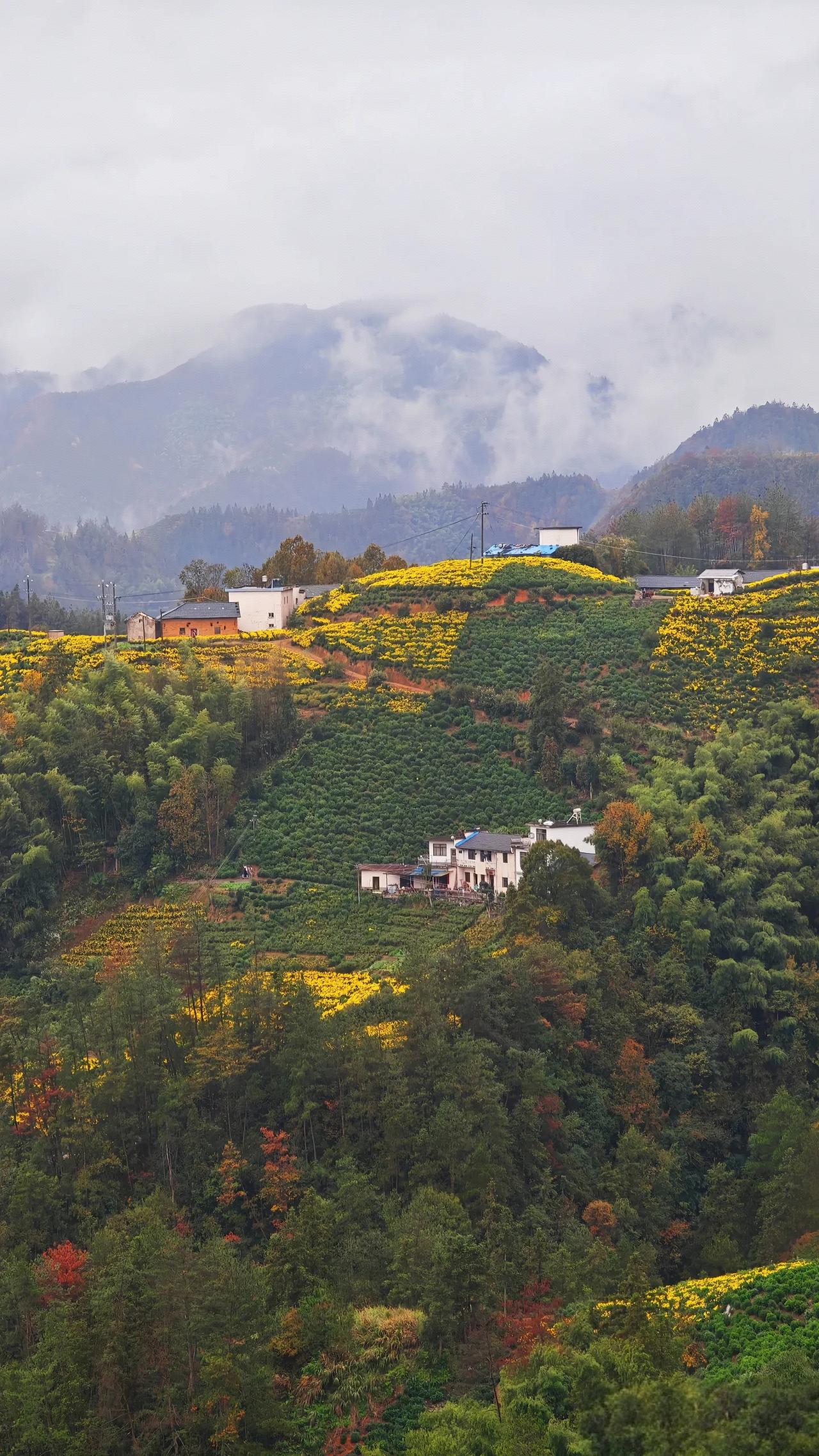 现在的年轻人我真的不能够理解，我这边有一个老师，一个月的工资大概在1万块钱左右，