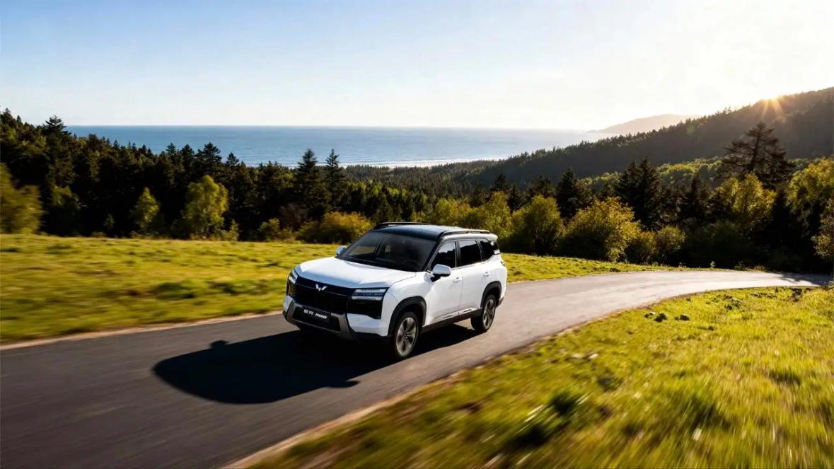 无论您2026年买不买车，您都会感激我。1、要面子一一买特斯拉，气场十足。