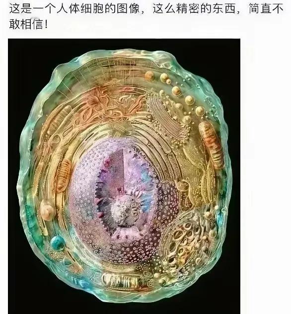 这竟然是我们的人体细胞，真是炸裂了我的眼。我们的人体细胞呀，多么渺小，里面竟然