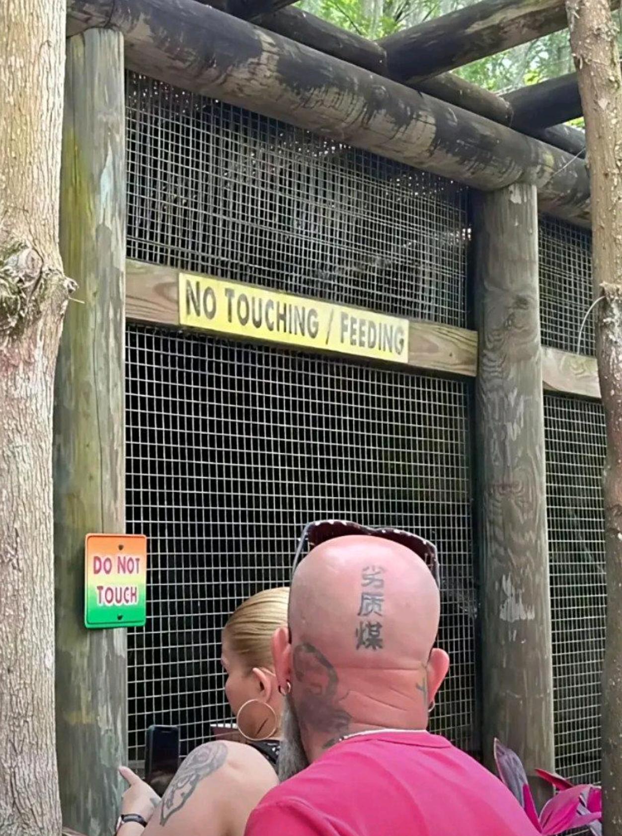 只要不来中国就没人嘲笑你。