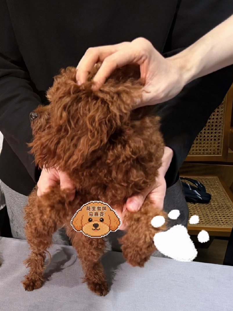 哎呀🥺​​​