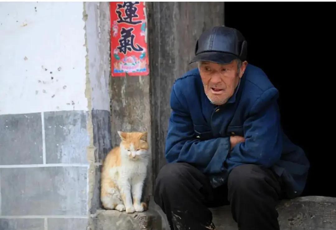谁的老年都是一场血雨腥风啊。老公这些天一直是晚上回老家陪婆婆。今早回来竟然带回