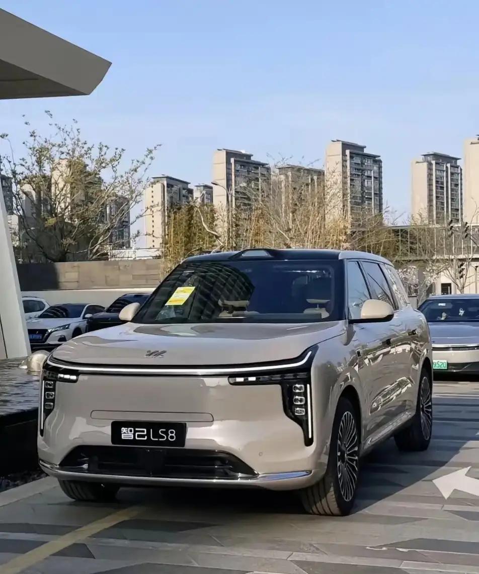 万万想不到！欧盟主席冯德莱恩没想到，法国总统马克龙没想到，整个欧盟都万万没想到！