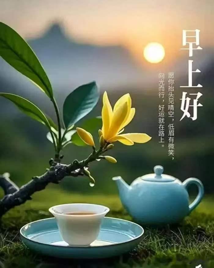 有时候我们总在忙着赶路，忘了停下来看看身边的人。前几天和朋友吃饭，她讲起最近的委