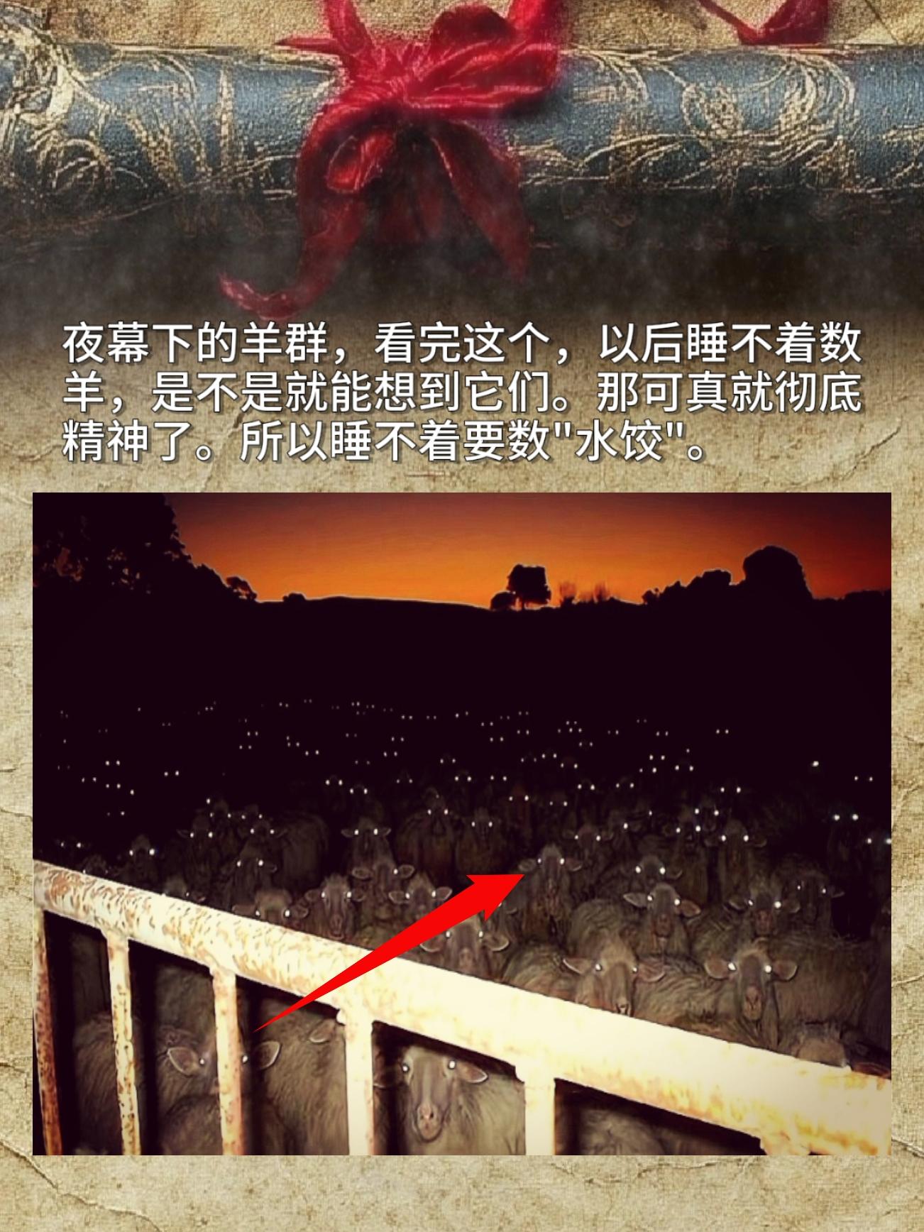 夜幕下的羊群，看完这个，以后睡不着数羊，是不是就能想到它们。那可真就彻...