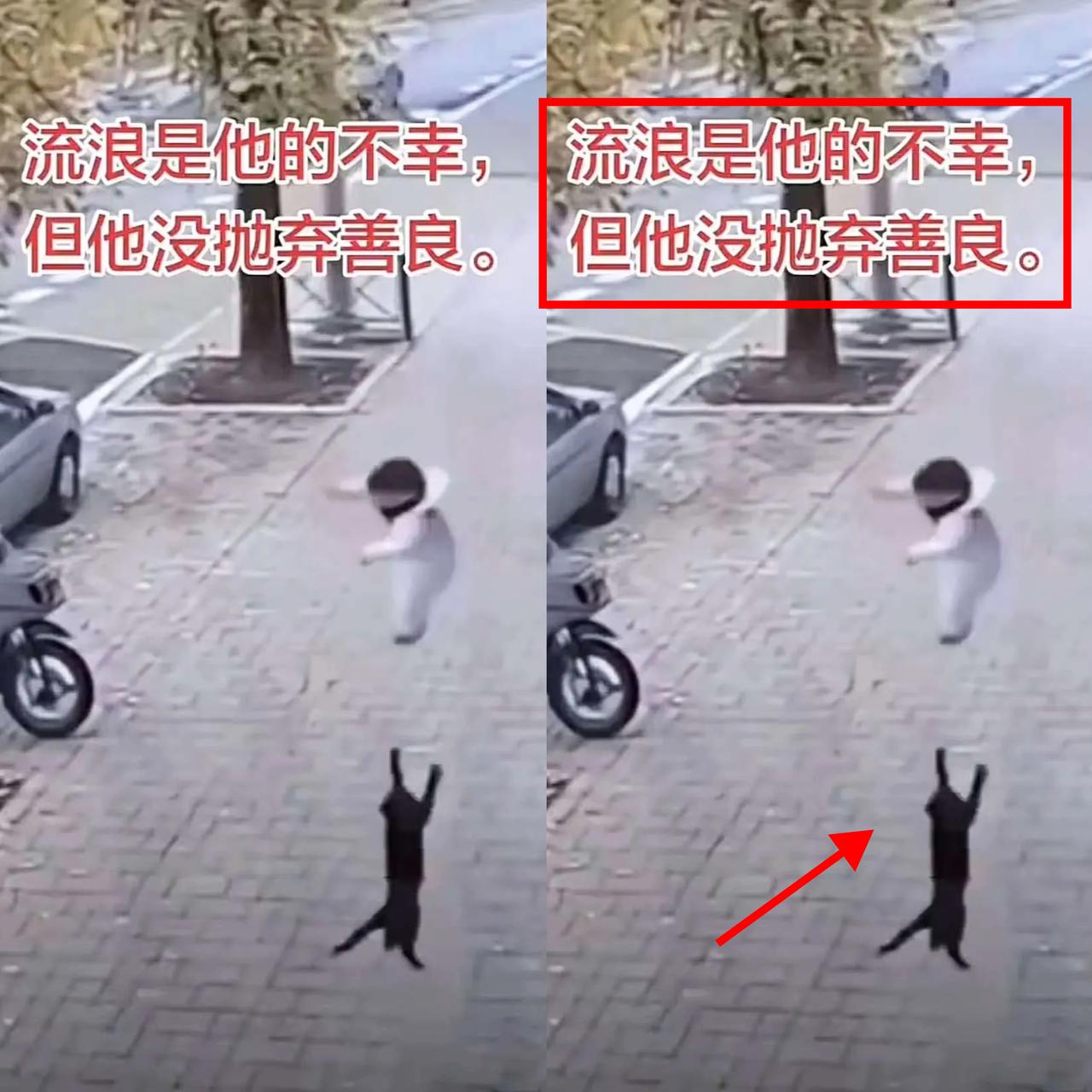 万物皆有灵！浙江杭州，一名三岁宝宝在阳台玩耍，结果大人一个疏忽，孩子突然从阳台掉