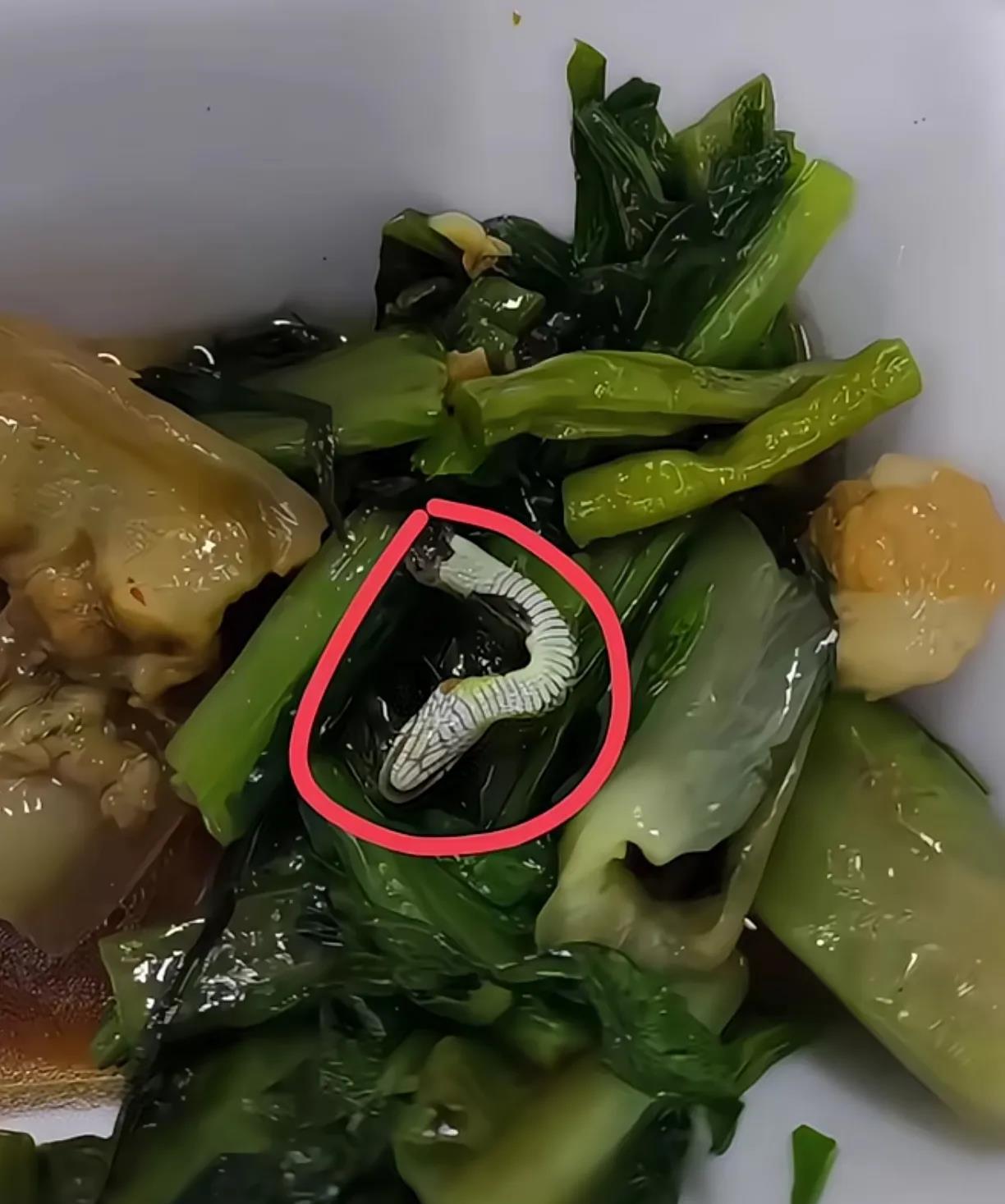 从这看，这家快餐店压根都不摘菜洗菜