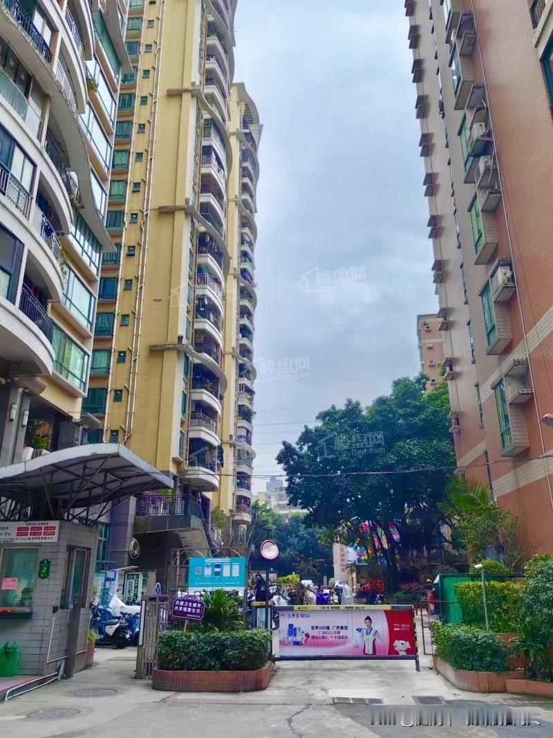 中介大概做梦都没想到，这波房价下跌，最愁的除了囤房的房东，居然还有自己。前两