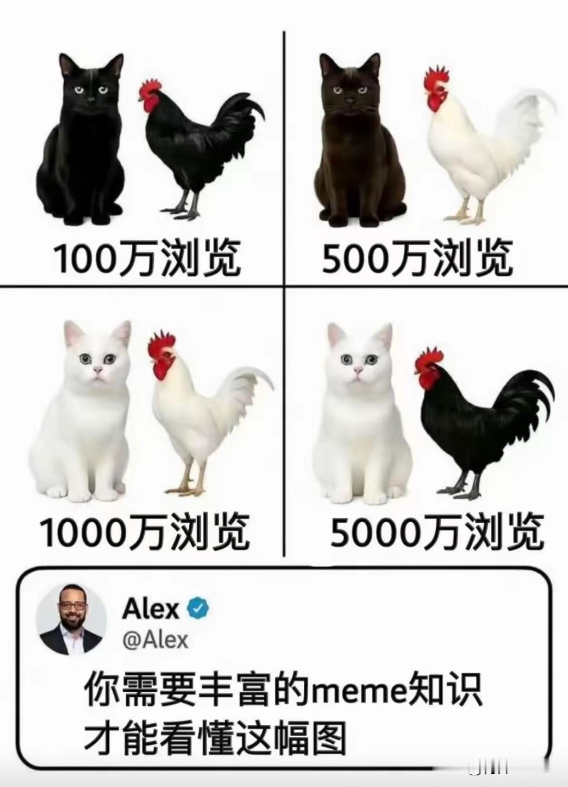 这是什么意思，没看懂[捂脸哭]