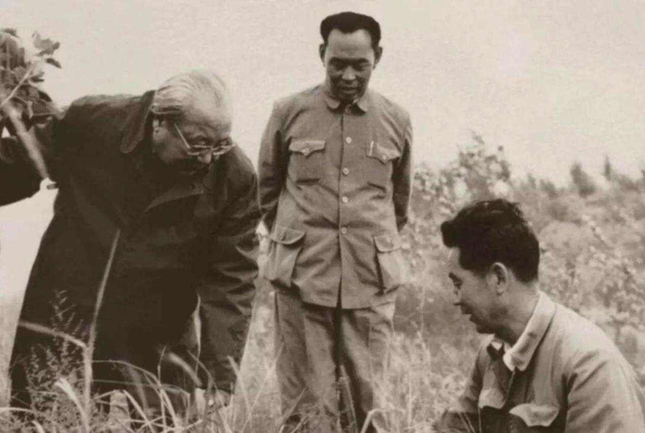 上世纪50年代，有人举报：“某领导的秘书抛弃糟糠之妻，逼迫老家的发妻跳湖zis