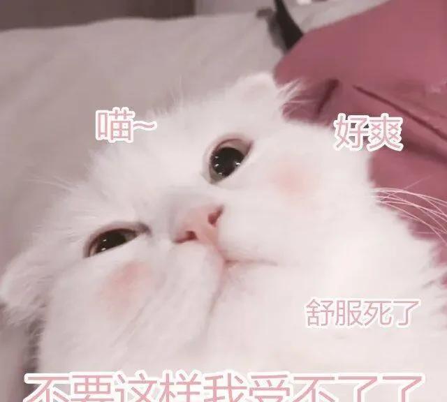 今年节假日奇怪的现象，酒店民宿各种各样的房子准备工作提前做好了，特别是厨房的菜刀