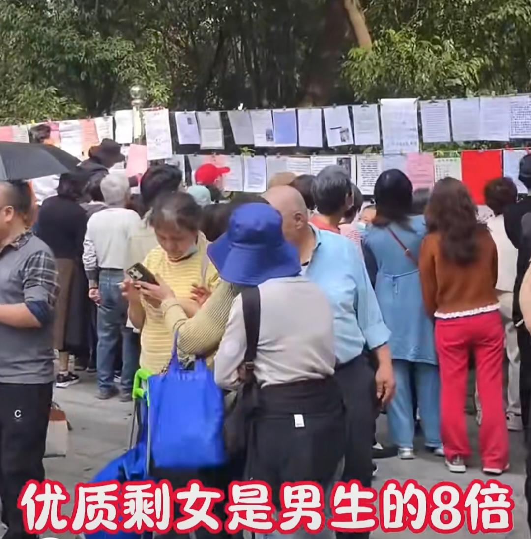 真是没想到，过年北京的儿子竟成了我难以启齿的尴尬曾几何时，儿子一路重点学校开绿