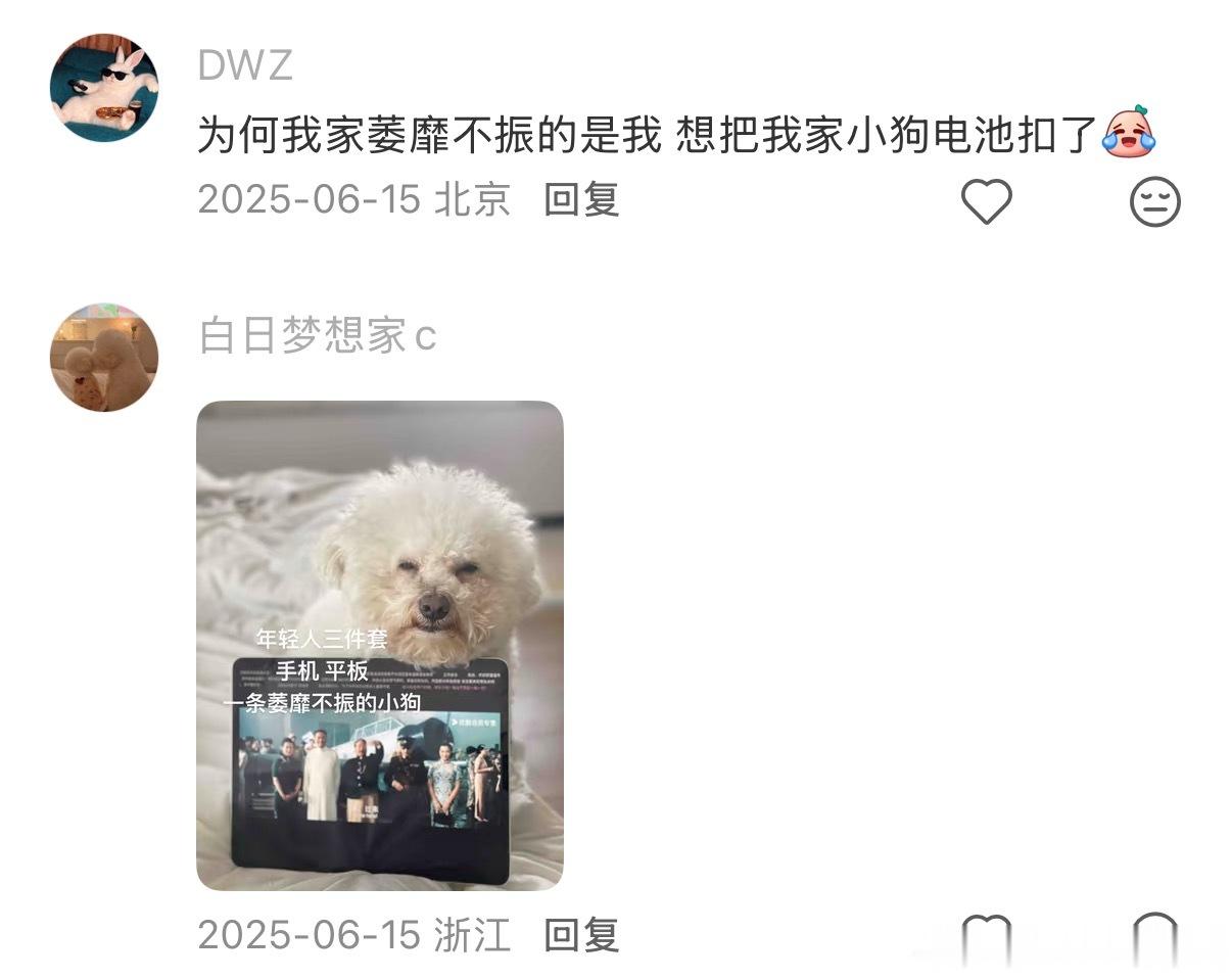 当代年轻人的沙发 ​​​