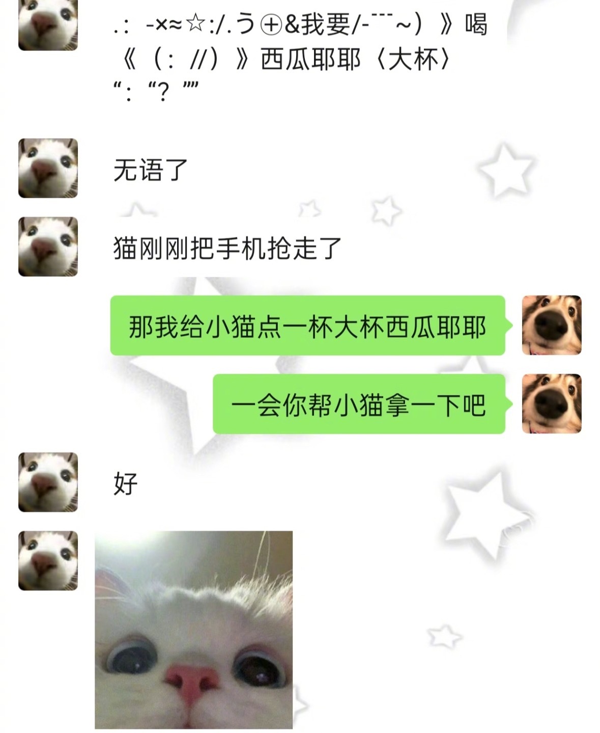 我那很有梗的可爱女友