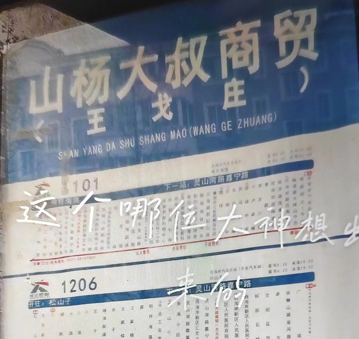 青岛市西海岸新区1101路、1206路、1113、1121、1170路公交线路竟