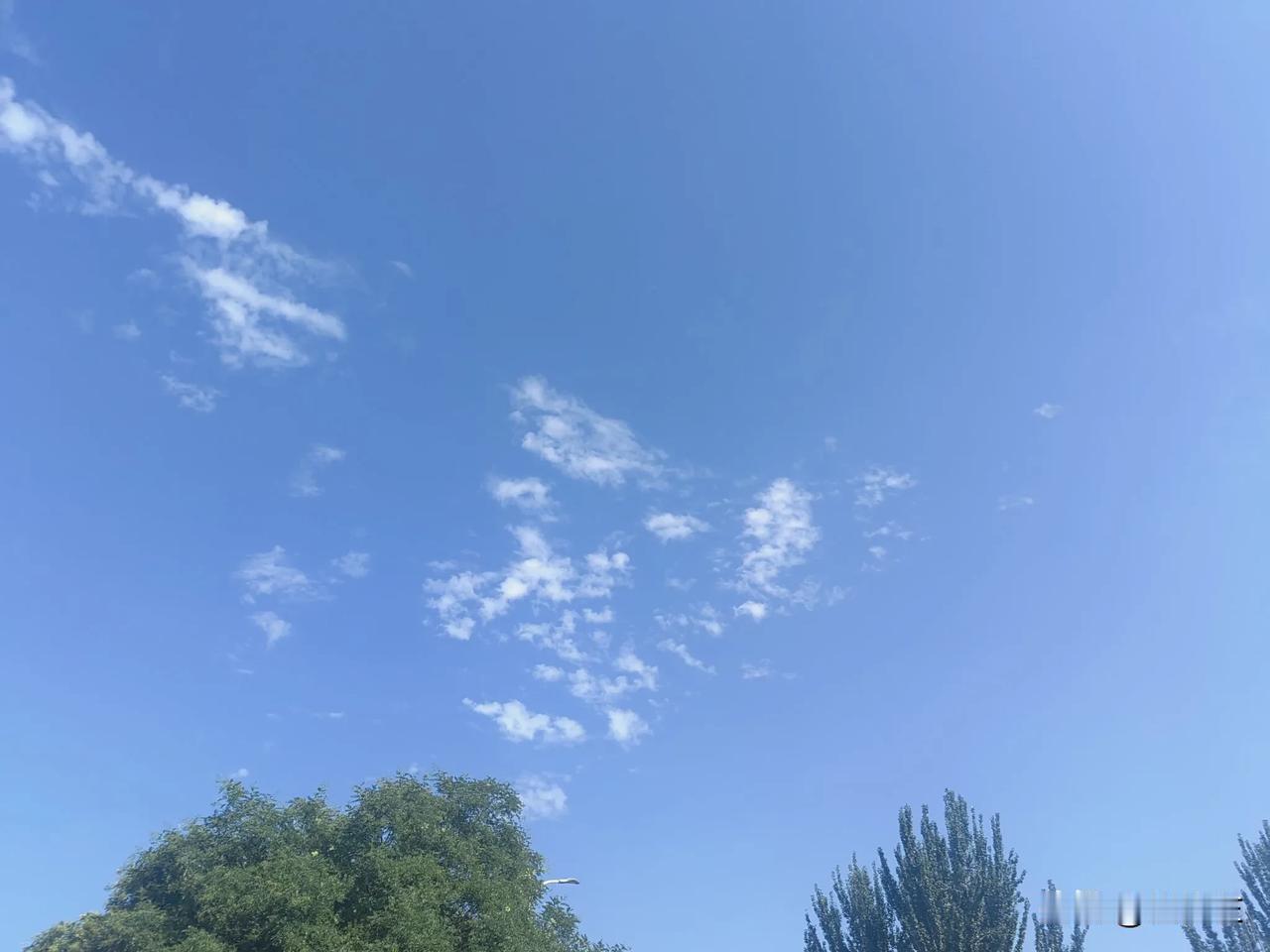 每次回银川休假，去市场或超市买肉时都有一种被侮辱，被羞辱的感觉。今天去市场采购