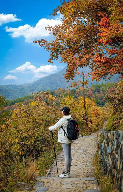 我的创意下联可以是：1、秋风同伴游山径🤛春雨同游赏花溪‌。2、秋风同伴