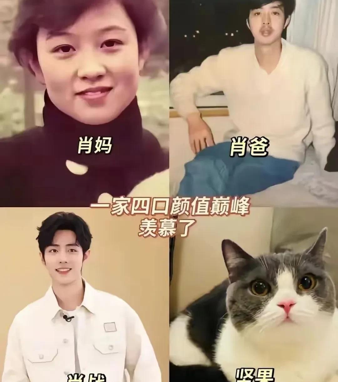 肖战可不是基因彩票，因为他妈妈明显是一个明艳大美女，而且他妈妈那个年代。照片只