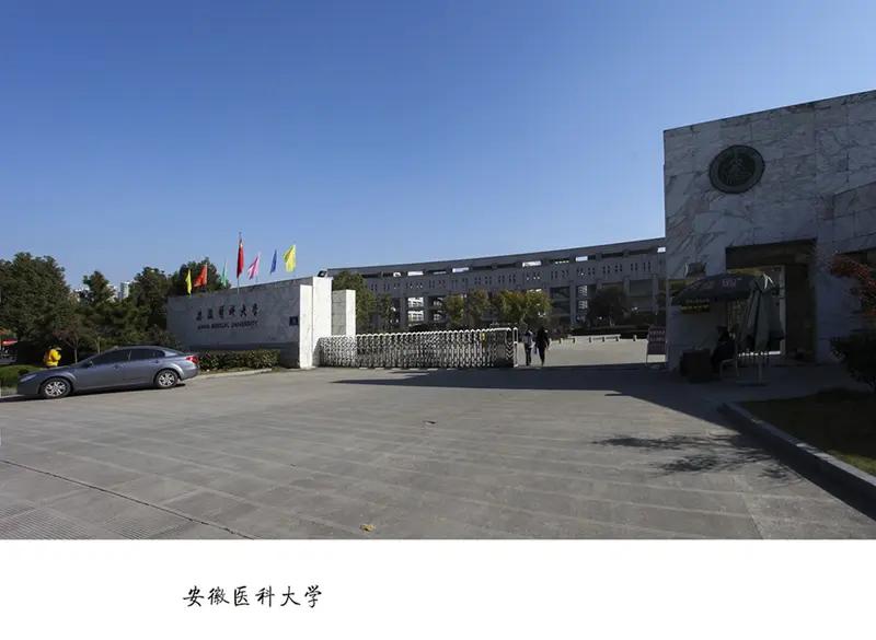 安徽省国资委体系控股药企一、省属平台（安徽省国资委100%控股集团旗下医药