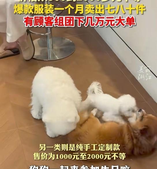 宠物狗的生活真美好，一件衣服价格都300-2000元了，卖宠物服饰的老板都发