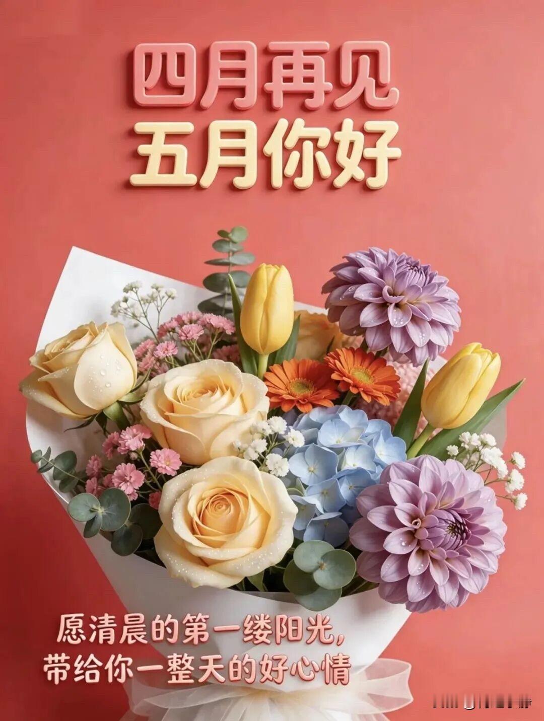 🍎²⁰²⁶/₀₅.₀₁五一快乐🎊🌷🍃初夏欣然，五月安康🍃人间最美