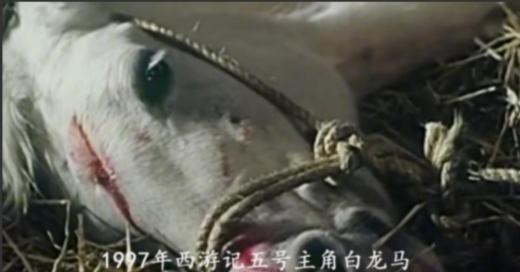 1988年，古装神话剧《西游记》拍摄结束后，导演杨洁将剧中的白龙马送到了无锡影视