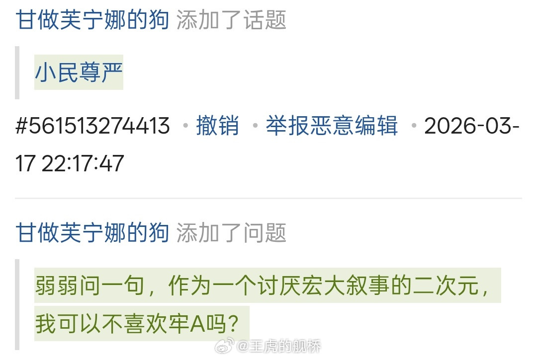 “对不起，这不是我想要的宏大叙事”