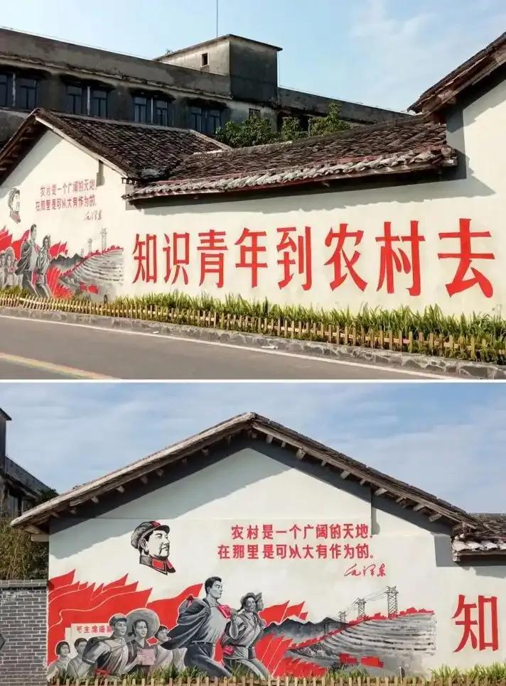 像宗庆后这种1963年就上山下乡，1978年才回城，在农村呆了足足15年的知青很