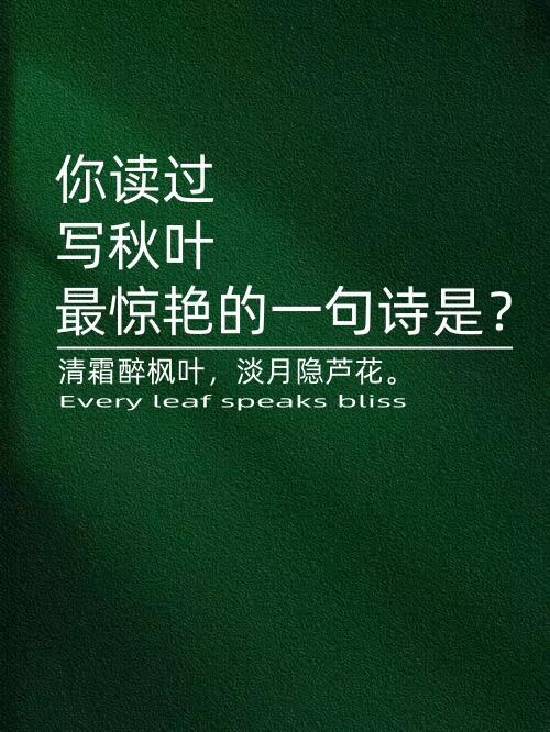 写秋天红叶最惊艳的诗词佳句​​​