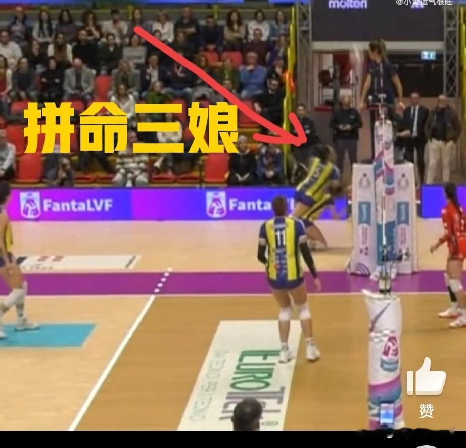 反复看，庄宇珊的这个救球，真的是“拼命三娘”[呲牙笑]瞧，她抬头一边专注地盯着球