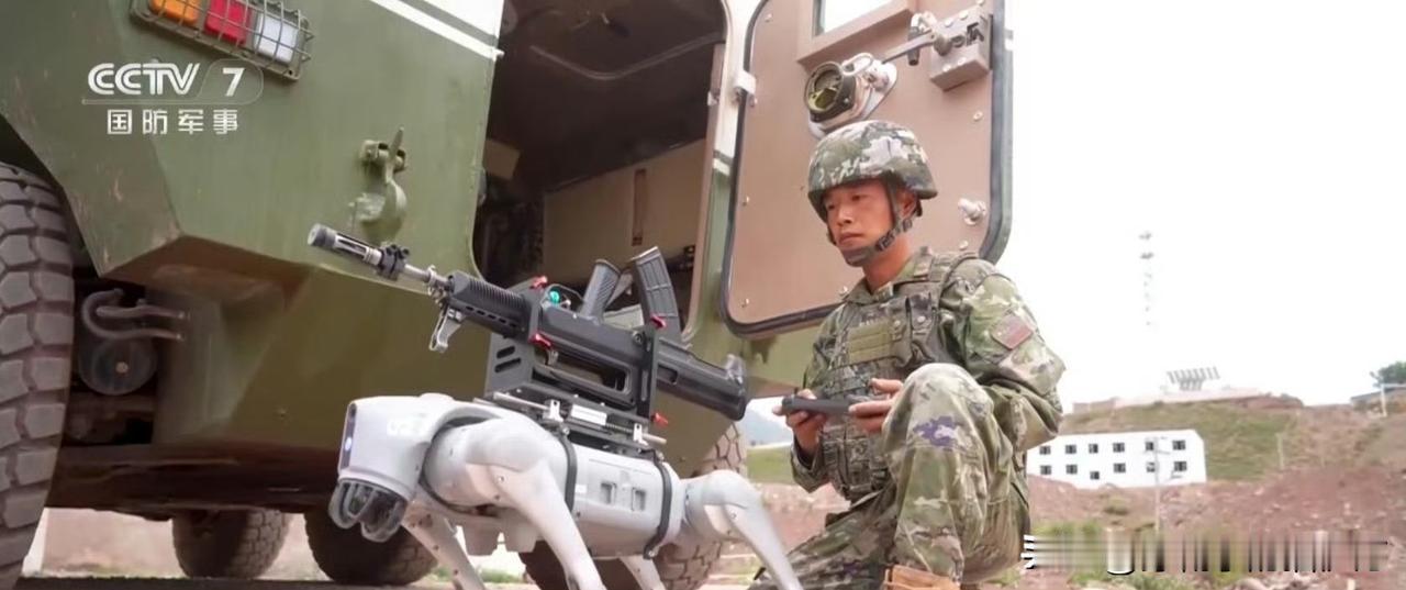 [呲牙笑]机器狗背负的武器是现役的“95-1”型自动步枪，整支枪倒置安装，弹匣朝