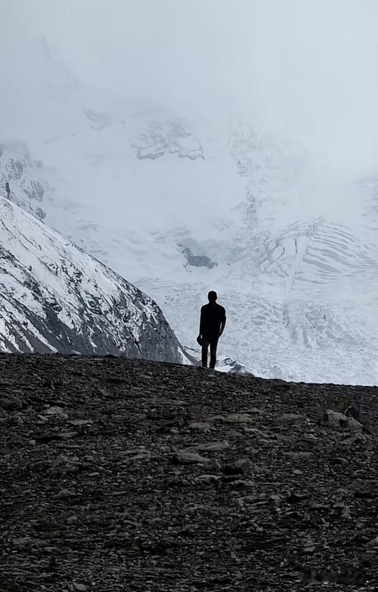 新华视评，新华社记者董千齐。今天，我们来看一则令人震惊的