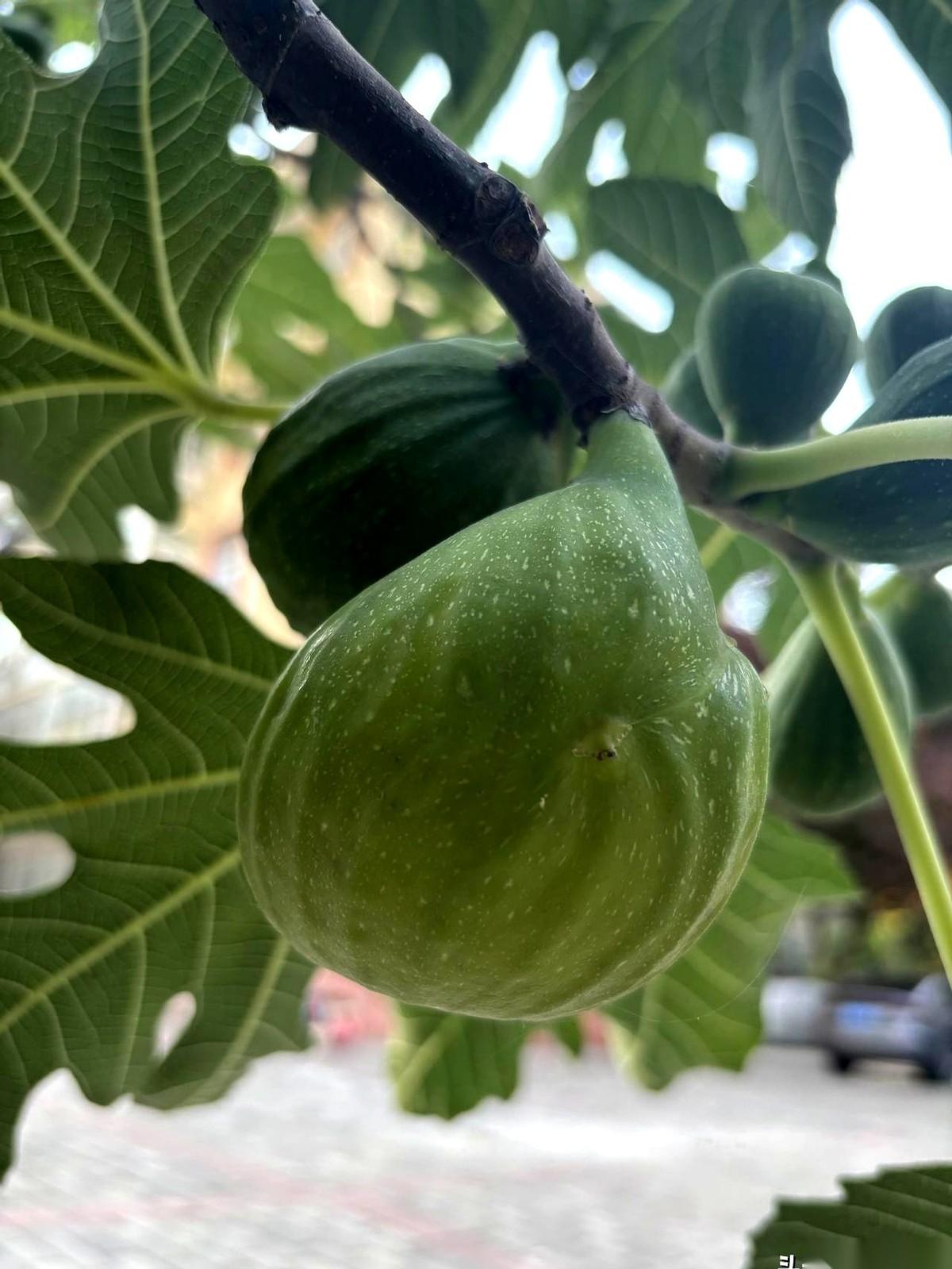 站在表妹家的厨房里，听着抽油烟机轰隆隆的响声，我看着水槽里那堆自己掏钱买来的排骨