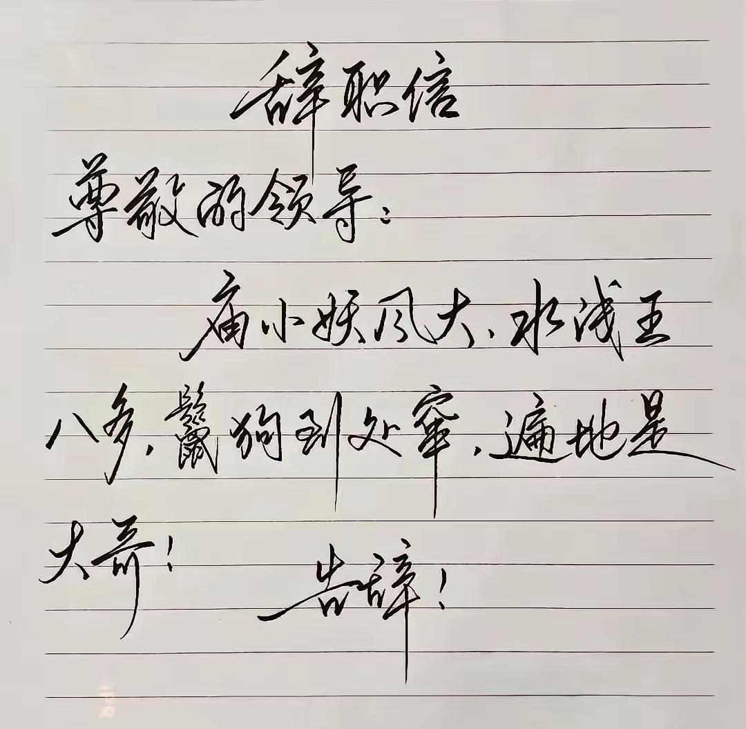 写这封辞职信的人，有很强的书法功底，随字而安，变化多端，在通篇的布局上突出了新颖