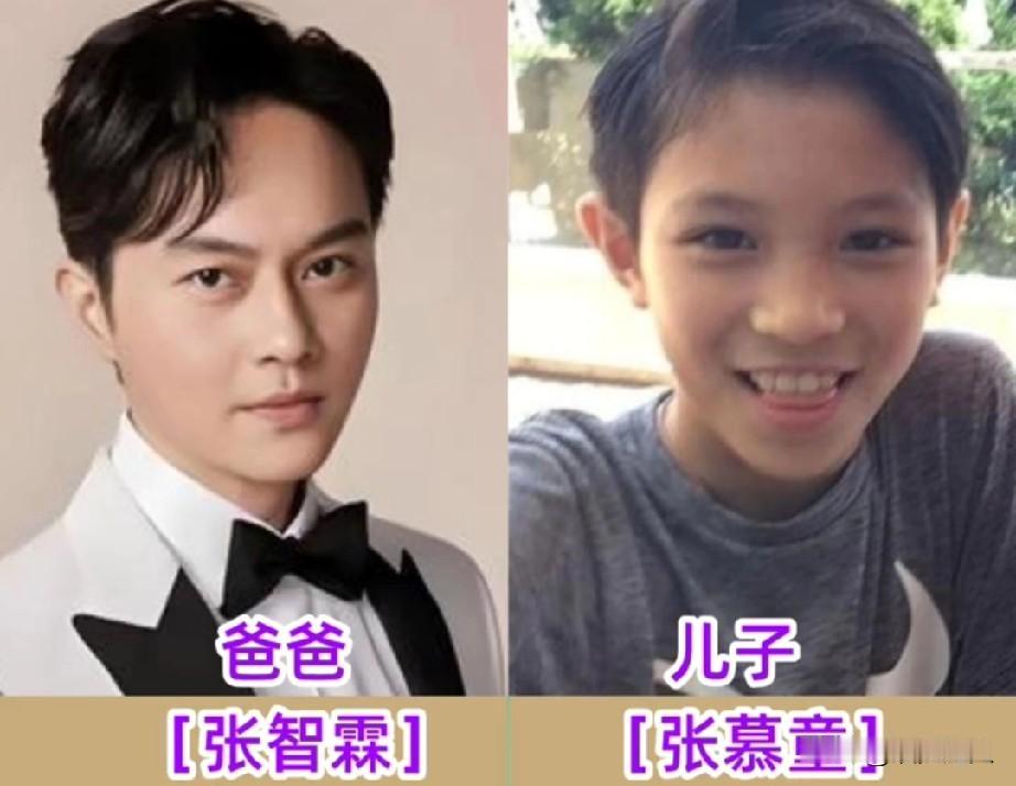 明星儿子颜值大比拼！张智霖的儿子真的很帅！完美继承了父母的基因！