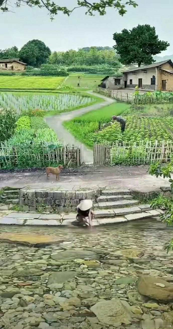 如果我有一天退了休，就到这样的地方，安心舒心地过平静如水的生活……