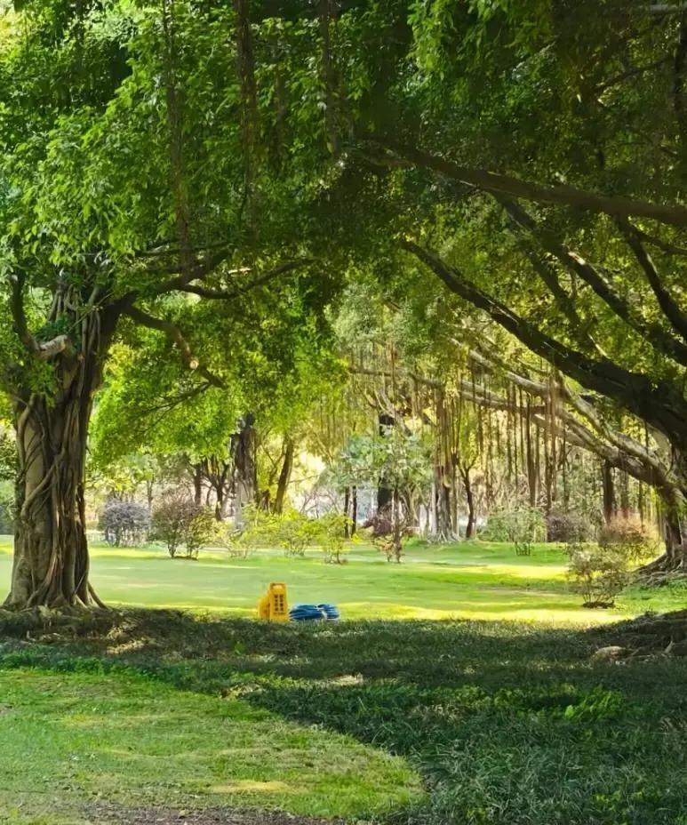 我姐姐越来越不正常了。姐姐是71年的，今年55岁了，基本没有什么社交活动，也不