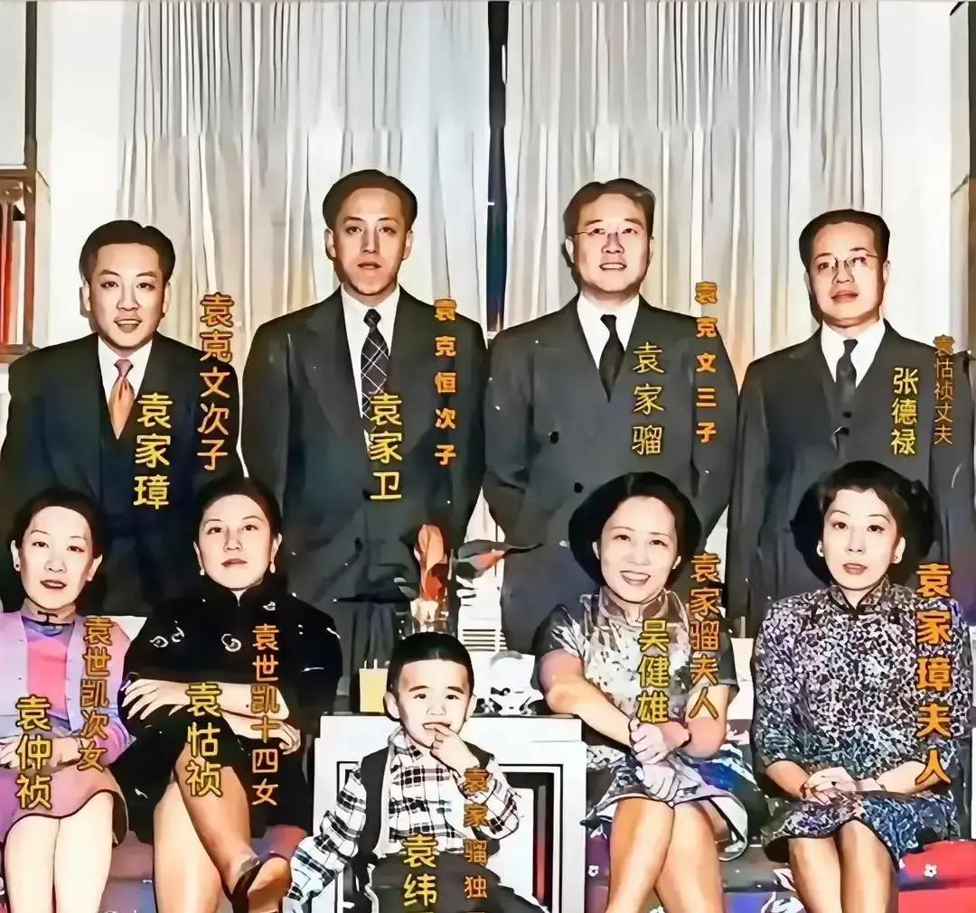 1949年，袁世凯后人在美国相聚时留下的一张合影，彼时，距离袁世凯1916年去世已过去33年，袁家在