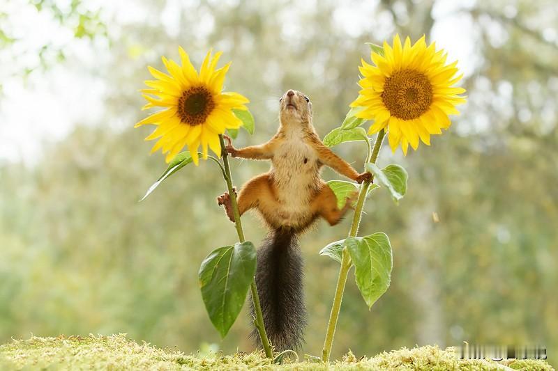 被人民日报暖到了​网上有个提问：“假如多年以后，你送走了父母，世上再无至亲之