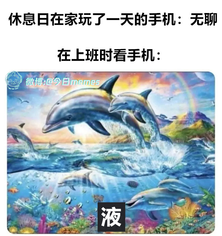 液液（9gag）今日meme今日memes