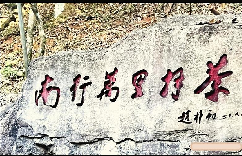 赵朴初题写的六字行书，你能一次性读准吗？一眼看懵山间石刻！石头上行书，笔画洒